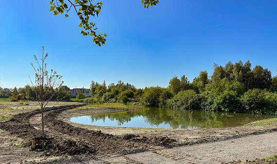 Foto terrein natuurgebied